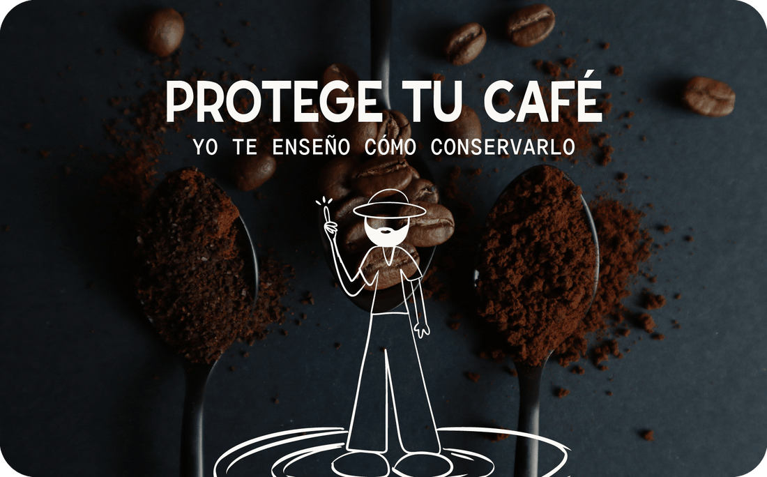 ¿Café molido o en grano? Cómo conservar el rastro de frescura en casa
