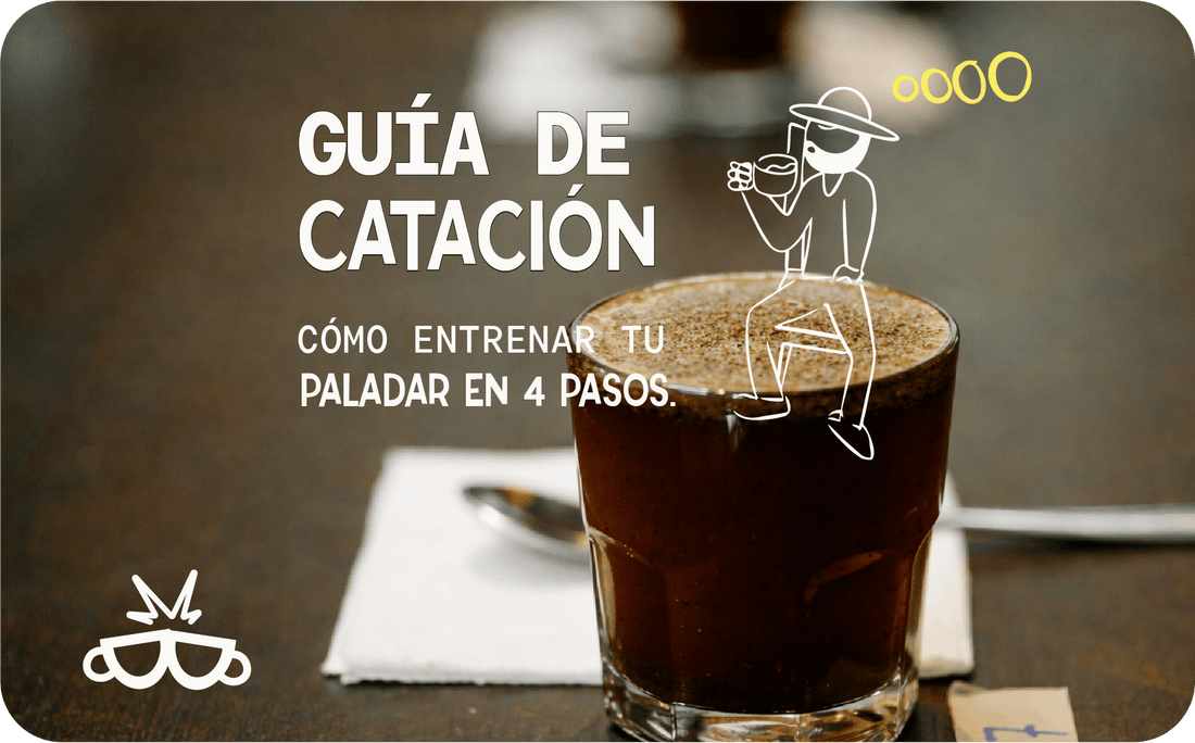 Conceptos básicos para catar